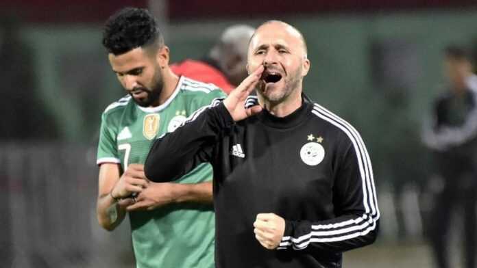 Djamel Belmadi (13 nov 21)