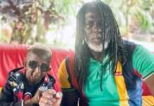 Grand P et Tiken Jah Fakoly