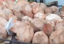 A la découverte des bienfaits du jus de coco Noix de coco