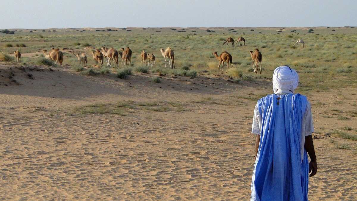 Paysage mauritanien