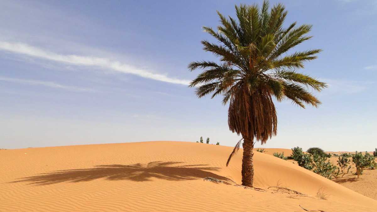 Désert en Mauritanie