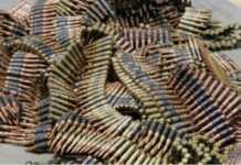Sénégal : saisie d’une cargaison de munitions de guerre, une enquête ouverte Munitions