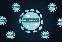 Que sait-on de BA.2, le « petit frère » d’Omicron apparu en Algérie Omicron BA.2