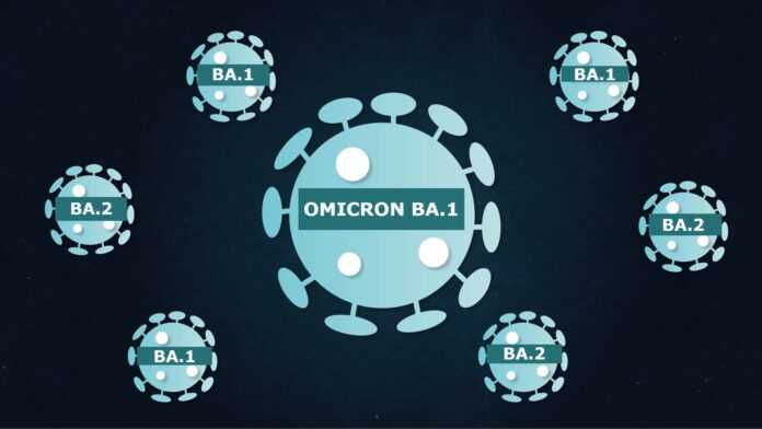 Omicron BA.2