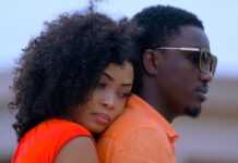Waly Seck, musicien
