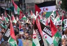 Espagne, des pro-sahraouis manifestent