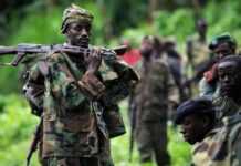 Rebelles du M23 actifs en RDC