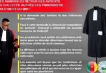 Maurice Kamto, Cameroun