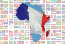 Françafrique (illustration)