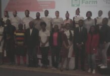 Panel de Inq Digital Cameroun