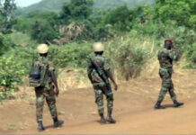 Le Bénin encore endeuillé par une attaque terroriste près du Burkina Faso