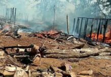 Madagascar : 32 villageois brûlés vifs par des bandits