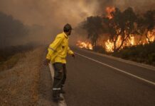 Des feux de forêts au Maroc