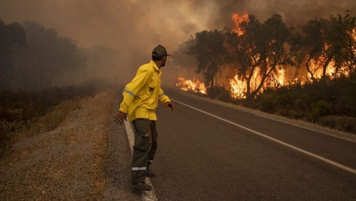 Des feux de forêts au Maroc