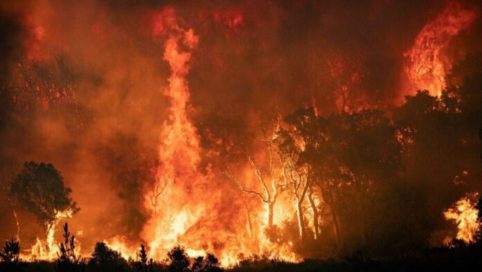 Incendies au Maroc