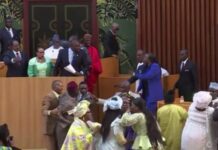 Pugilat à l’hémicycle : les députés sénégalais se trompent de combat