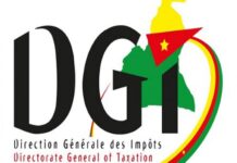 Cameroun : la direction des impôts tend la main au secteur privé