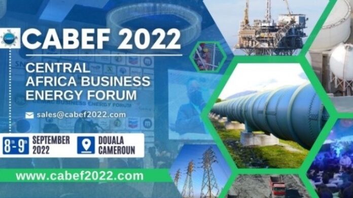 Central africa business energy forum