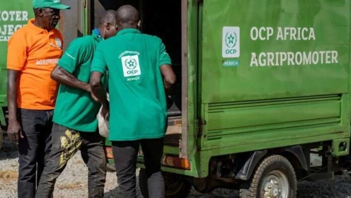 Trafic d’engrais offerts par Mohammed VI : au Sénégal, on maintient le flou