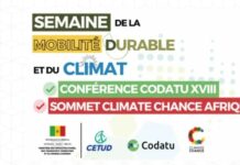 Sommet Climate Chance à Dakar : Feuille de route des acteurs africains Semaine de la mobilité à Dakar