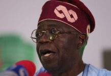 Bola Tinubu, nouveau Président du Nigeria