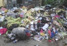 Cameroun : le retour des tas d’immondices à Douala et Yaoundé Des ordures au Cameroun