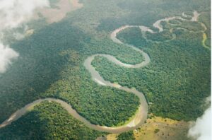 Bassin du Congo