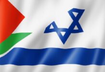 Drapeaux de la Palestine et d'Israël