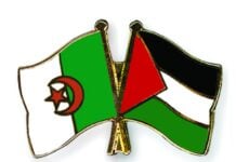 Pins-Algerie-Palestine