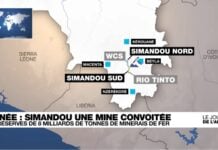 carte mine de simandou