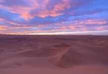 Algérie : 2ème Treg Algéria Trail, coup d’envoi dans le désert