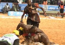 Lutte sénégalaise : Modou Lô tabasse Ama Baldé et conserve sa couronne Modou Lô en train de rouer de coups Ama Baldé