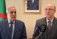 Nadir Larbaoui et Aymen Benabdelrahmen