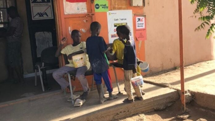 Sénégal : Les enfants talibés, ces nouveaux domestiques occasionnels