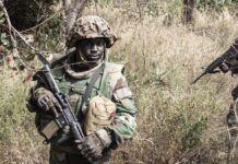 Quatre soldats sénégalais tués en Casamance Des soldats sénégalais