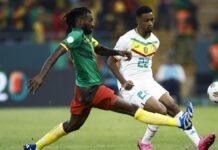 Comment les Sénégalais ont vécu le match contre le Cameroun (3-1) Sénégal contre Cameroun