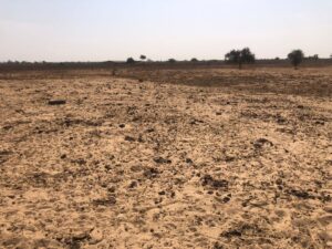 Une partie du champ fertilisée