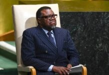Le Président namibien, Hage Geingob