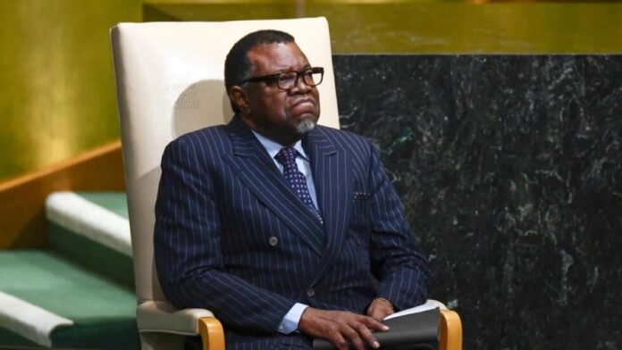 Le Président namibien, Hage Geingob