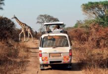 Le Malawi mise sur son secteur touristique pour redynamiser son économie Tourisme