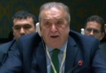 Palestine – Algérie : le Conseil de sécurité de l’ONU exige un Cessez-le-feu immédiat Amar Bendjama au Conseil de Sécurité de l'ONU