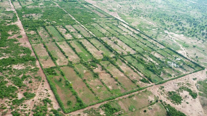 bocage sahélien