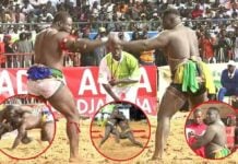 Lire aussi 1 Lire aussi 1