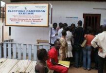 Retrait des cartes d'électeurs au Cameroun