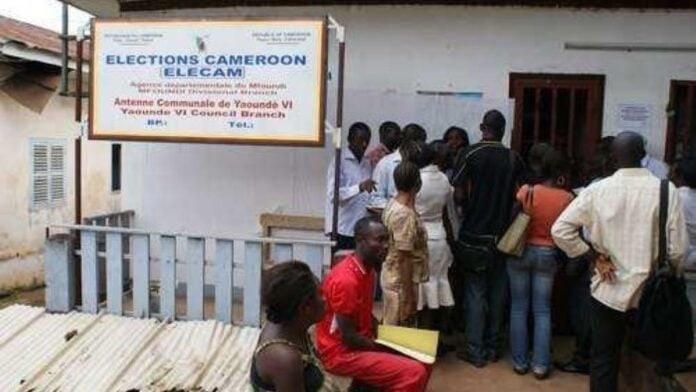 Retrait des cartes d'électeurs au Cameroun