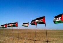 Sahara occidental drapeaux