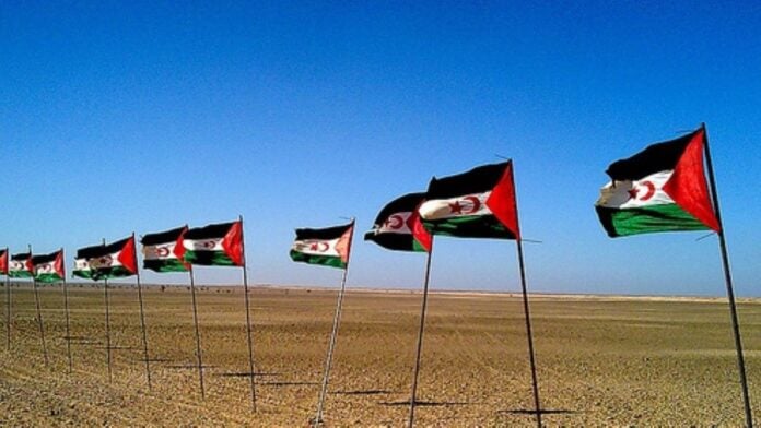 Sahara occidental drapeaux