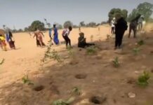 Sénégal : un projet solidaire exemplaire du Collectif Les Fraternelles