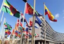 L’Algérie en pointe à l’UNESCO pour la sauvegarde du patrimoine immatériel UNESCO