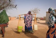 Femmes d'Abala au Niger